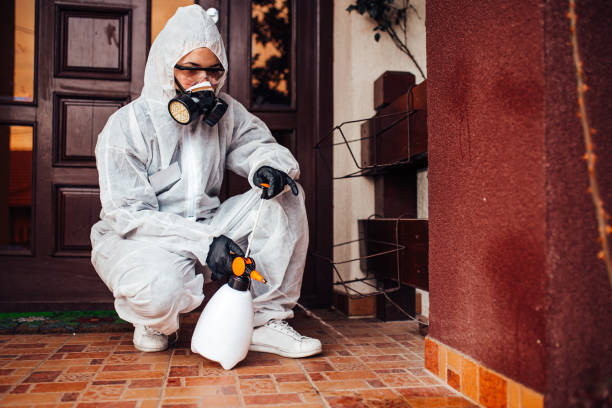 Attic and Crawl Space Rodent Treatment in Keshena