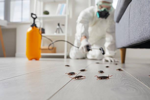 Commercial Rodent Management in Keshena